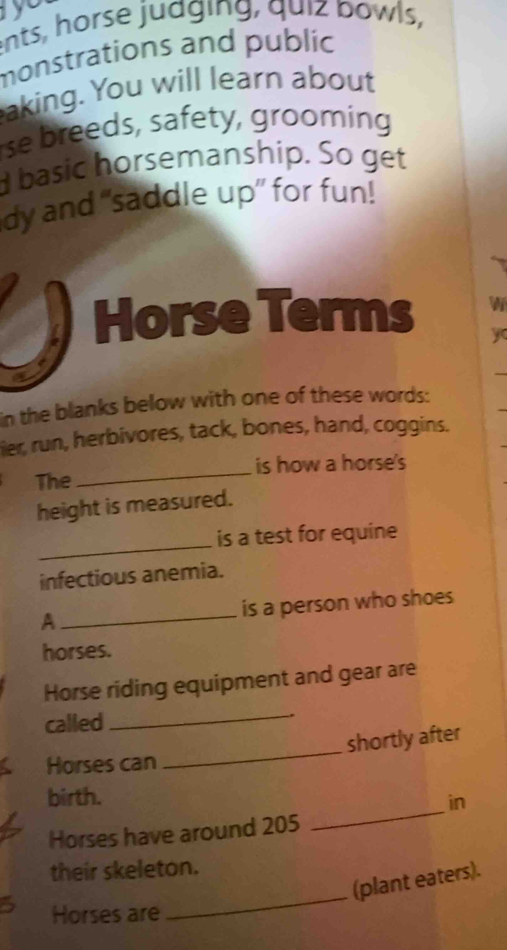 ents, horse judging, quiz bowls, monstrations and public eaking. you wi…