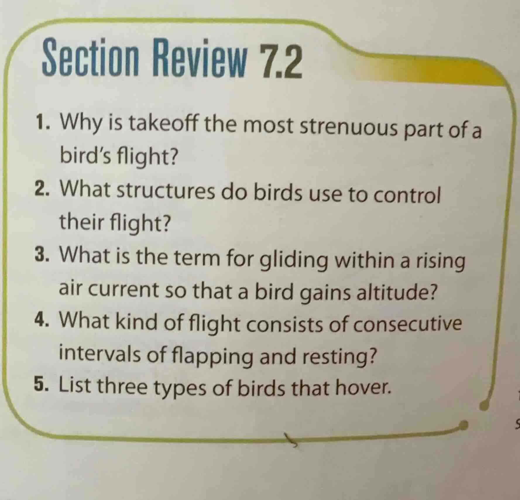 section review 7.2 1. why is takeoff the most strenuous part of a bird’…