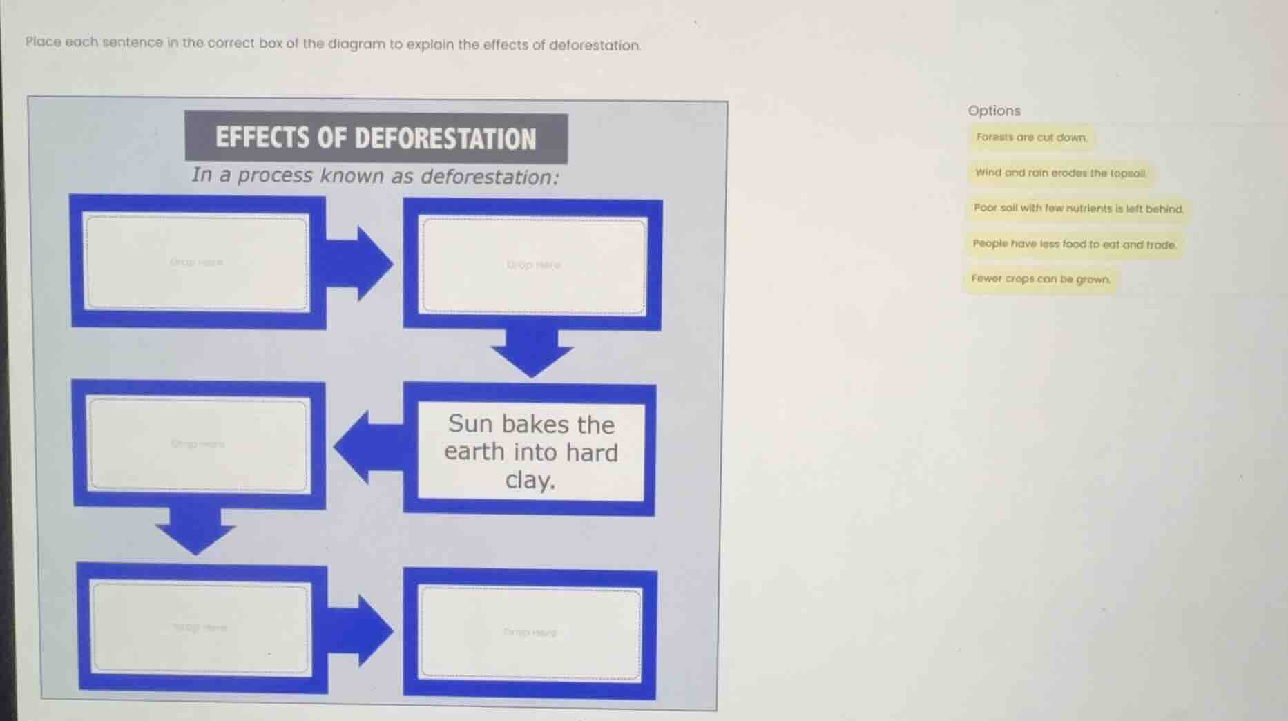 place each sentence in the correct box of the diagram to explain the ef…
