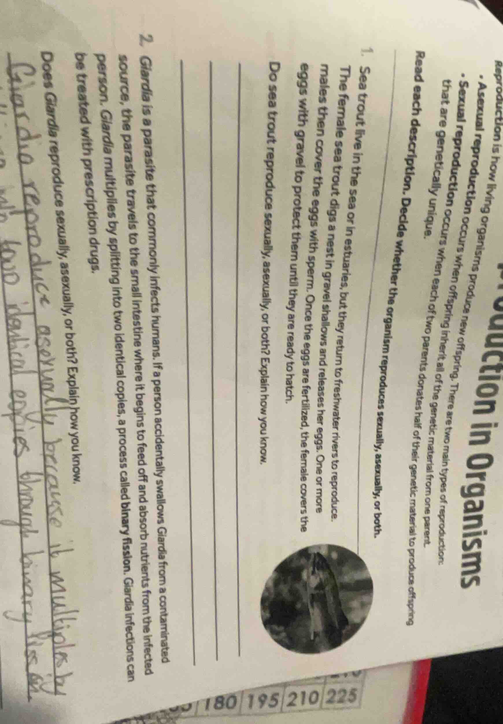 reproduction is how living organisms produce new offspring. there are t…