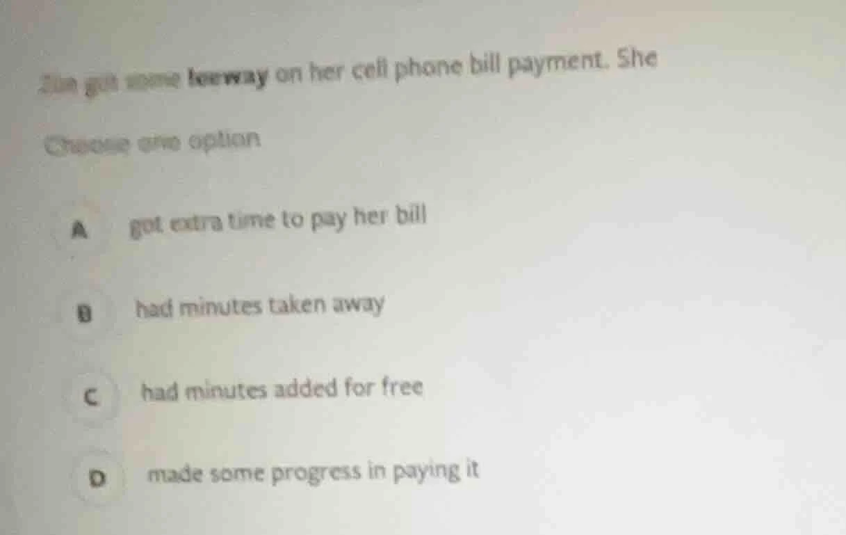 zan got some leeway on her cell phone bill payment. she choose one opti…