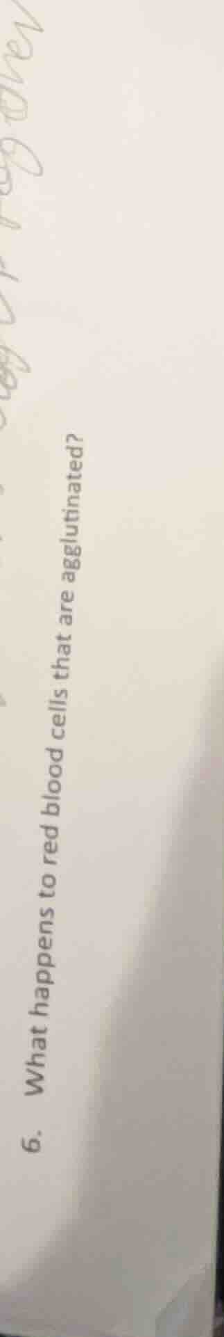6. what happens to red blood cells that are agglutinated?