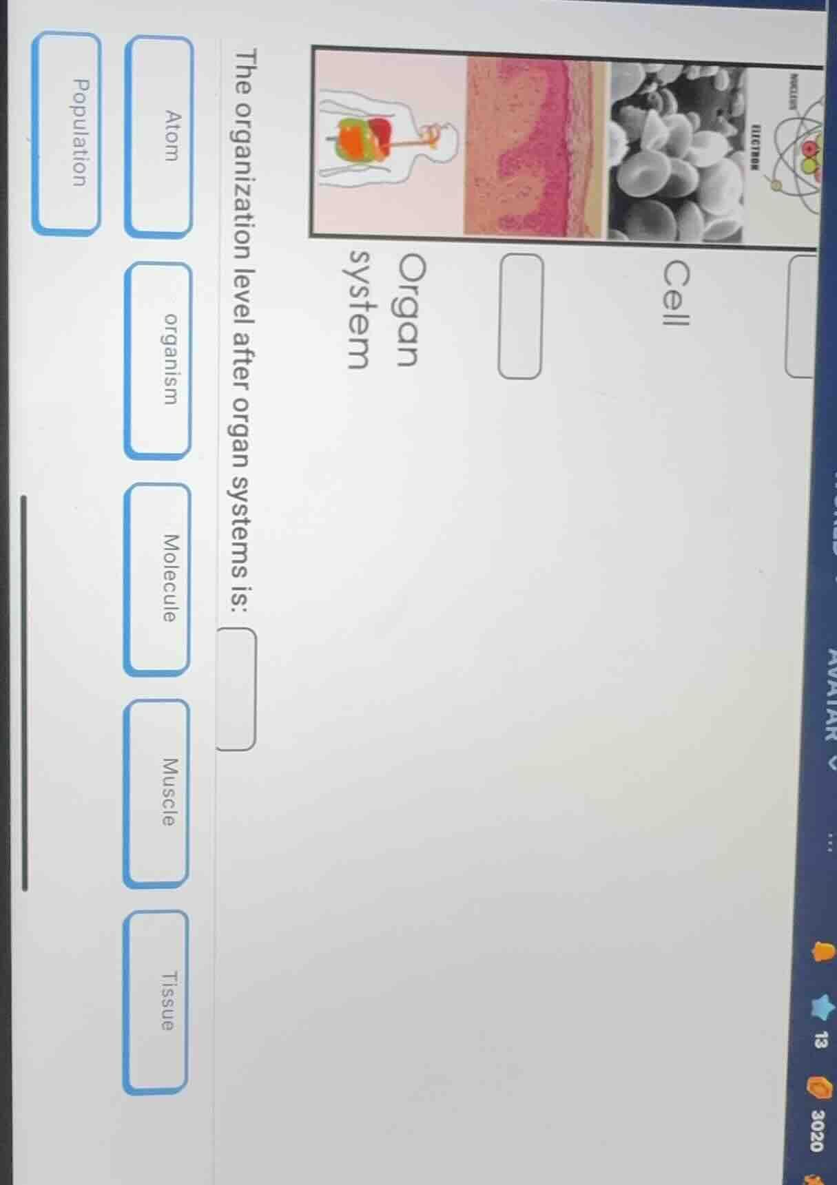 the organization level after organ systems is: options: atom, organism,…