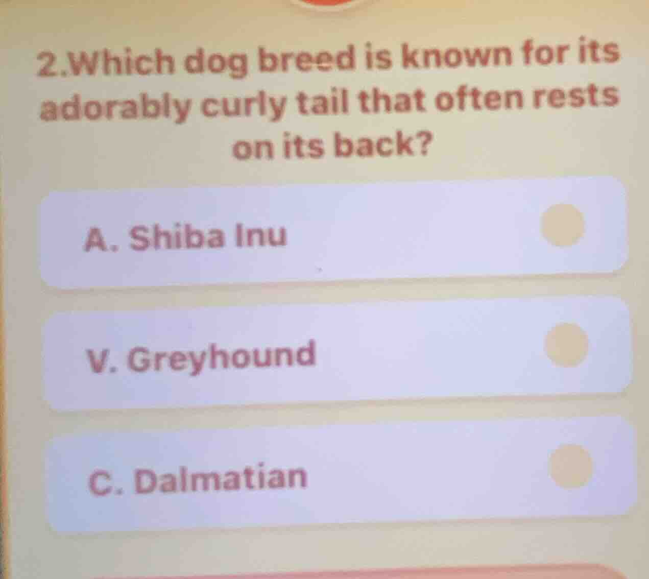 2.which dog breed is known for its adorably curly tail that often rests…