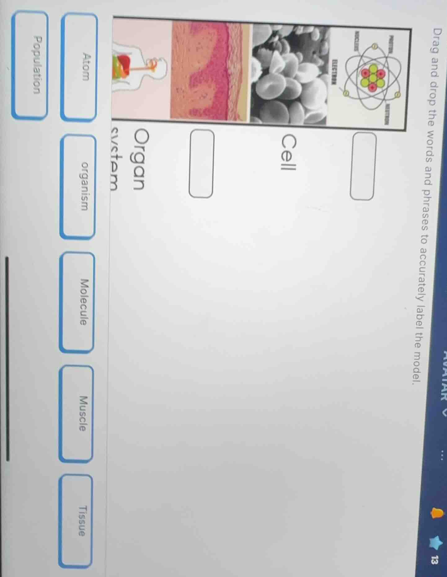 drag and drop the words and phrases to accurately label the model. atom…