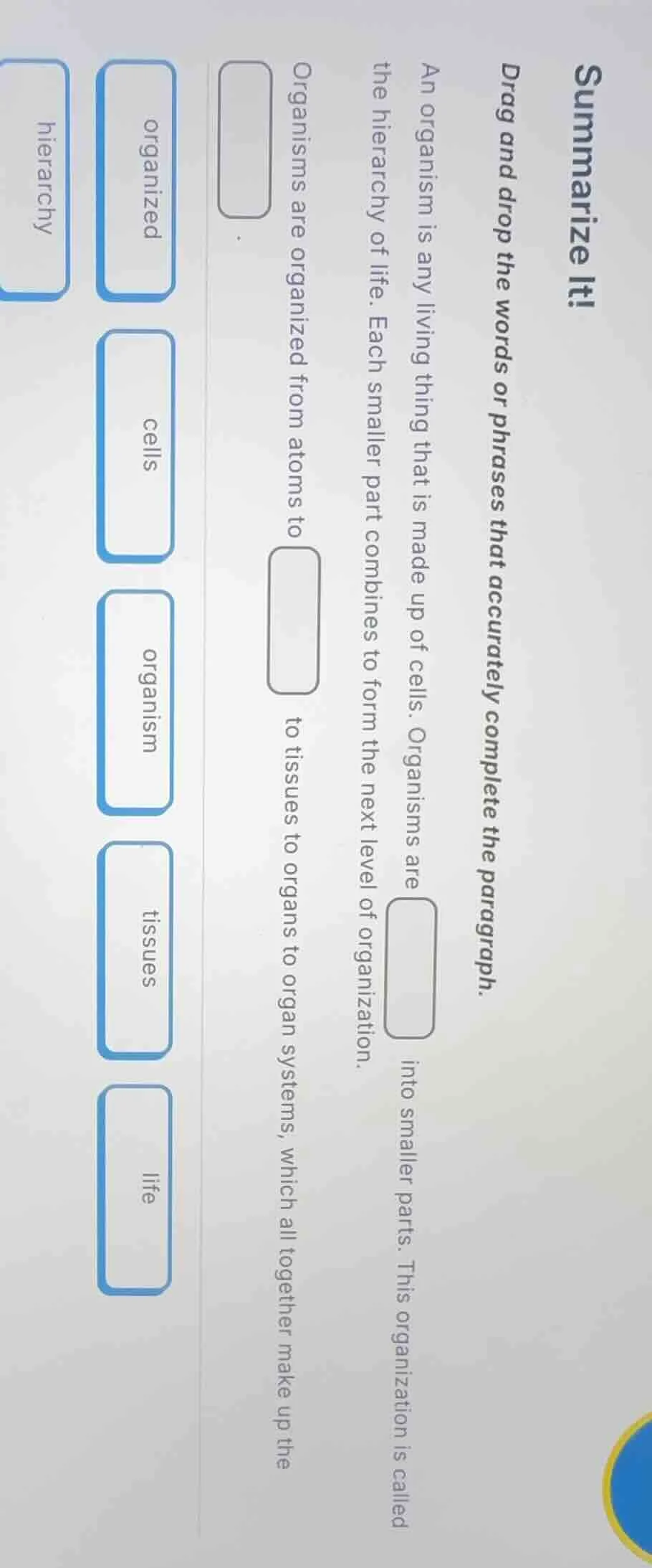 summarize it! drag and drop the words or phrases that accurately comple…