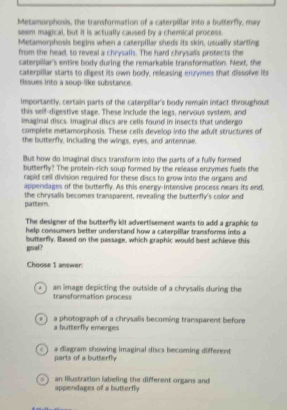 metamorphosis, the transformation of a caterpillar into a butterfly, ma…