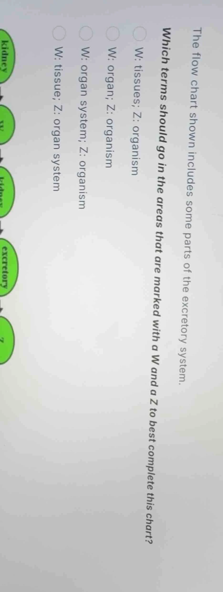 the flow chart shown includes some parts of the excretory system. which…