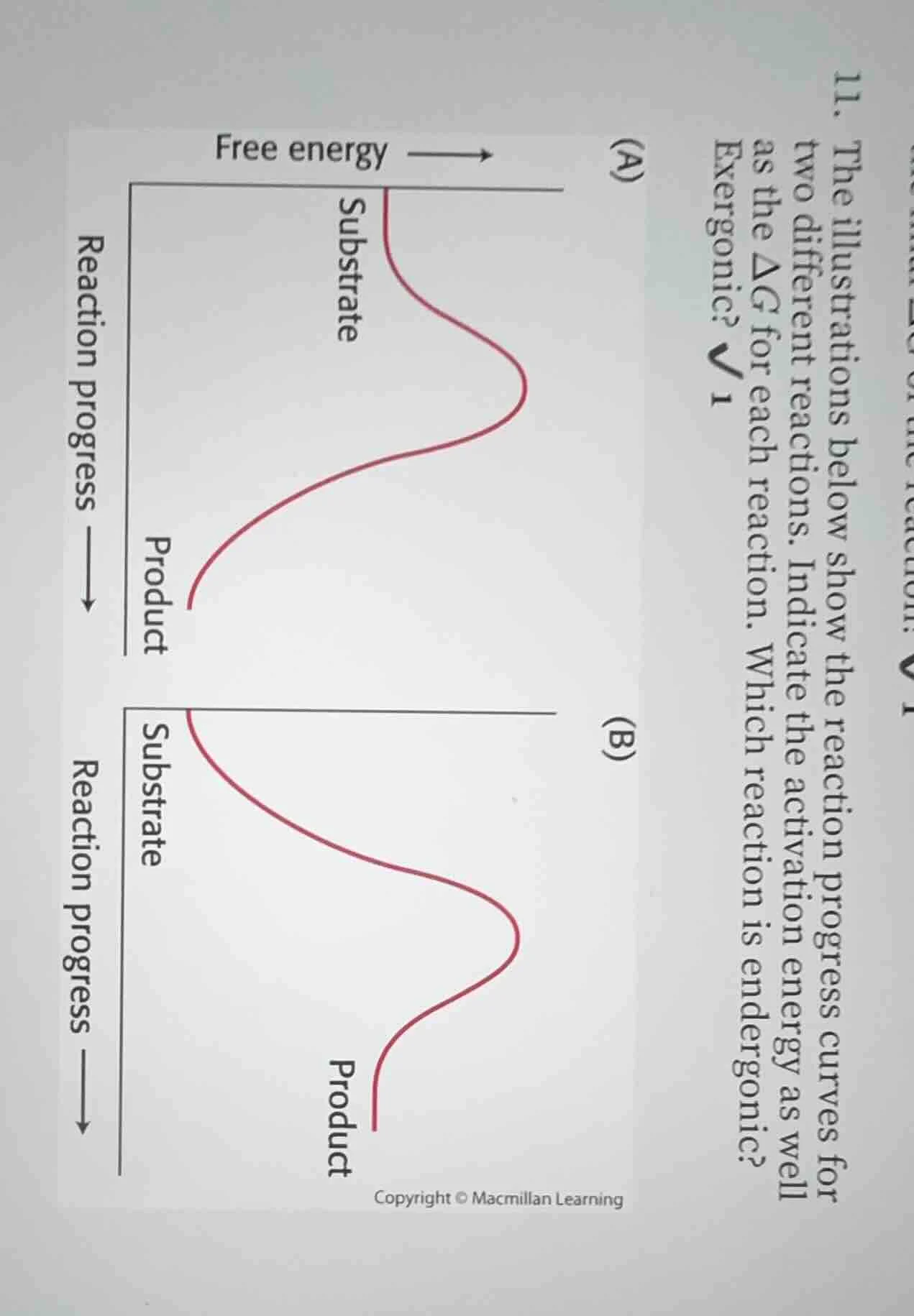 11. the illustrations below show the reaction progress curves for two d…