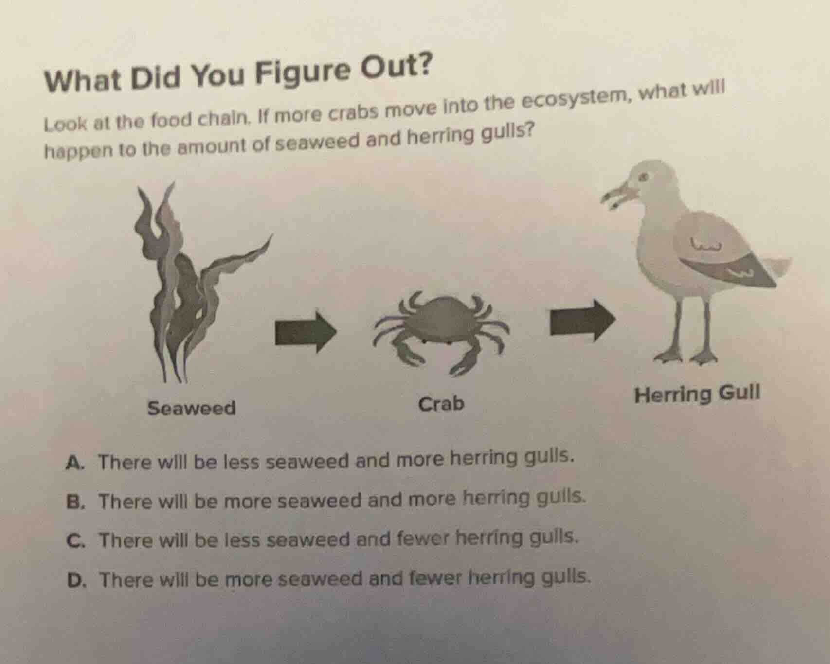 what did you figure out? look at the food chain. if more crabs move int…