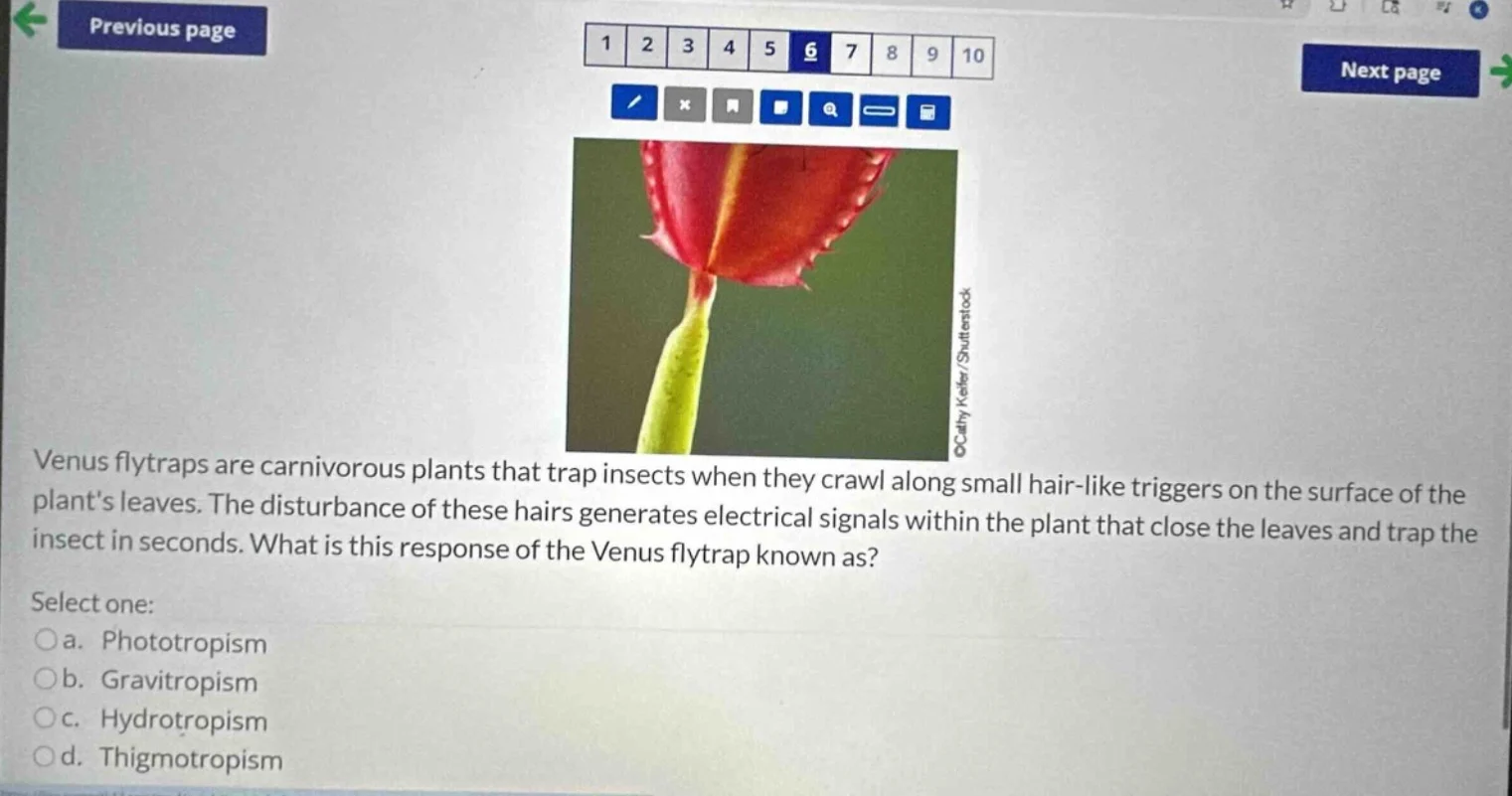 venus flytraps are carnivorous plants that trap insects when they crawl…