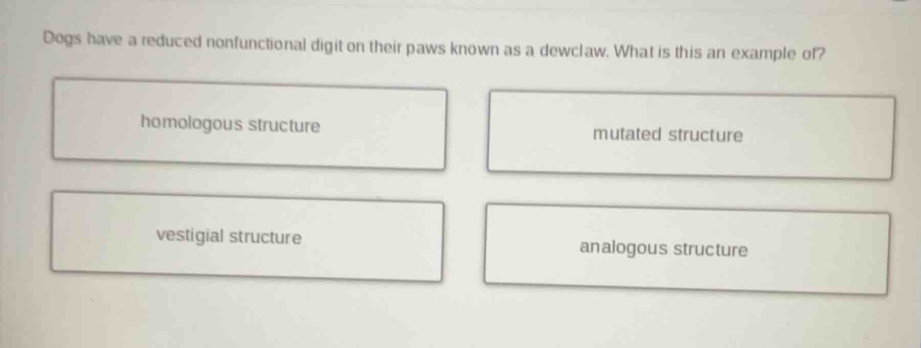 dogs have a reduced nonfunctional digit on their paws known as a dewcla…