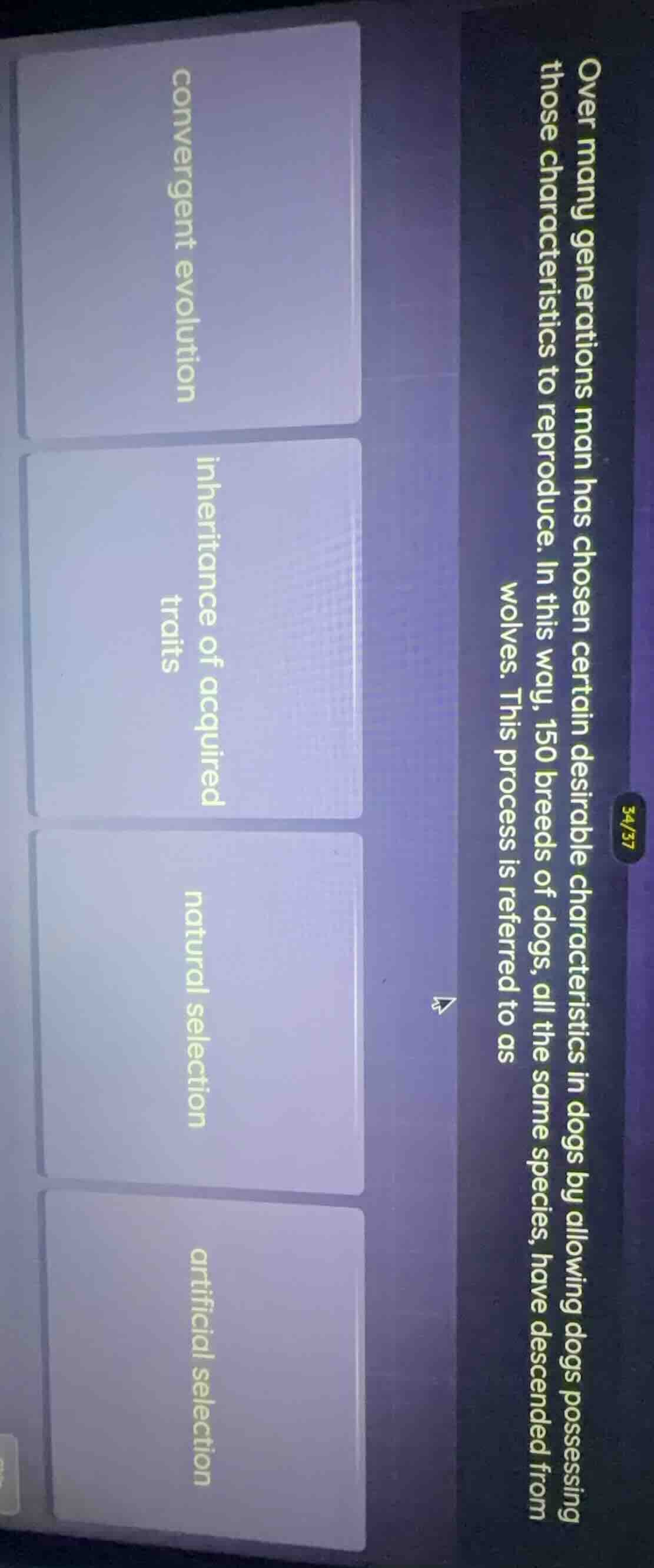 over many generations man has chosen certain desirable characteristics …