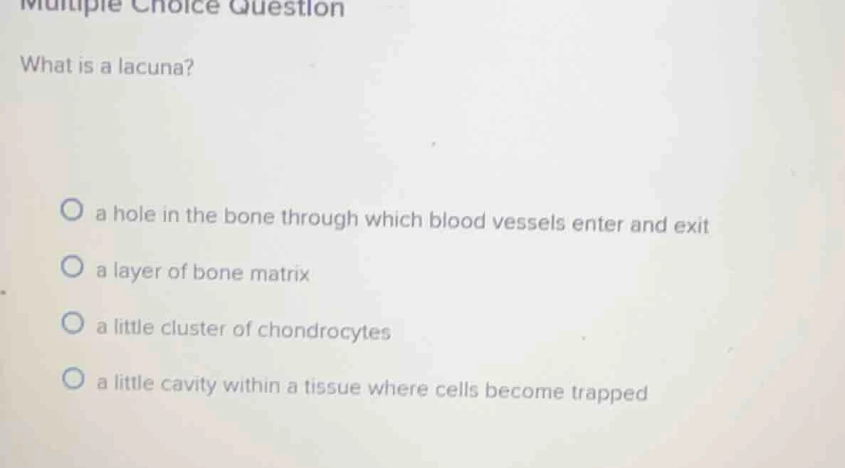 multiple choice question what is a lacuna? ○ a hole in the bone through…
