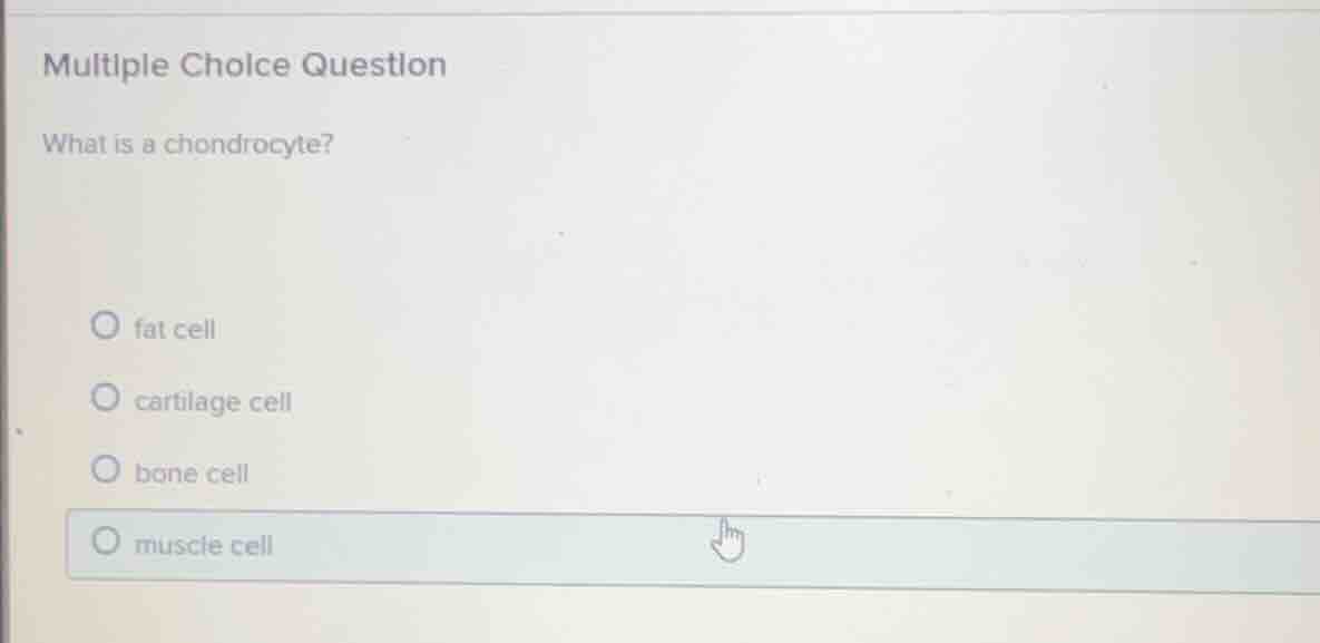 multiple choice question what is a chondrocyte? fat cell cartilage cell…