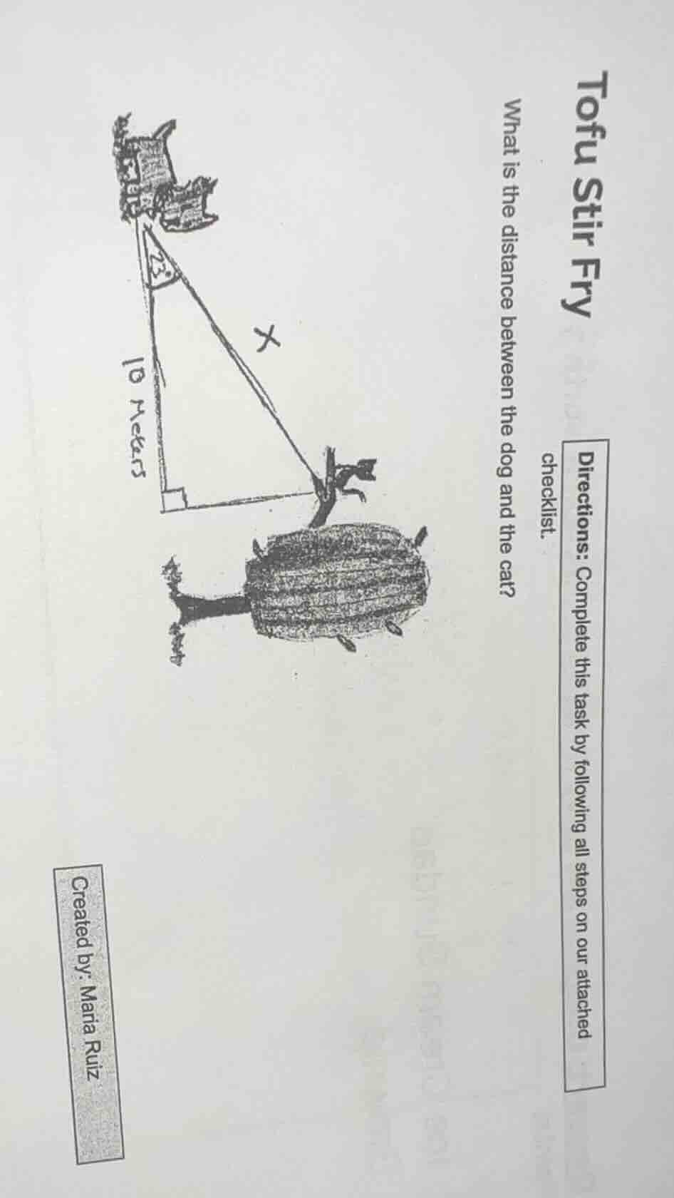 tofu stir fry what is the distance between the dog and the cat? directi…