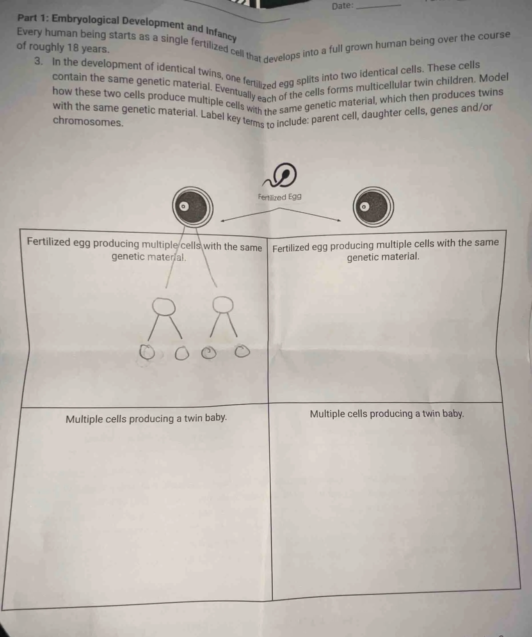 part 1: embryological development and infancy every human being starts …