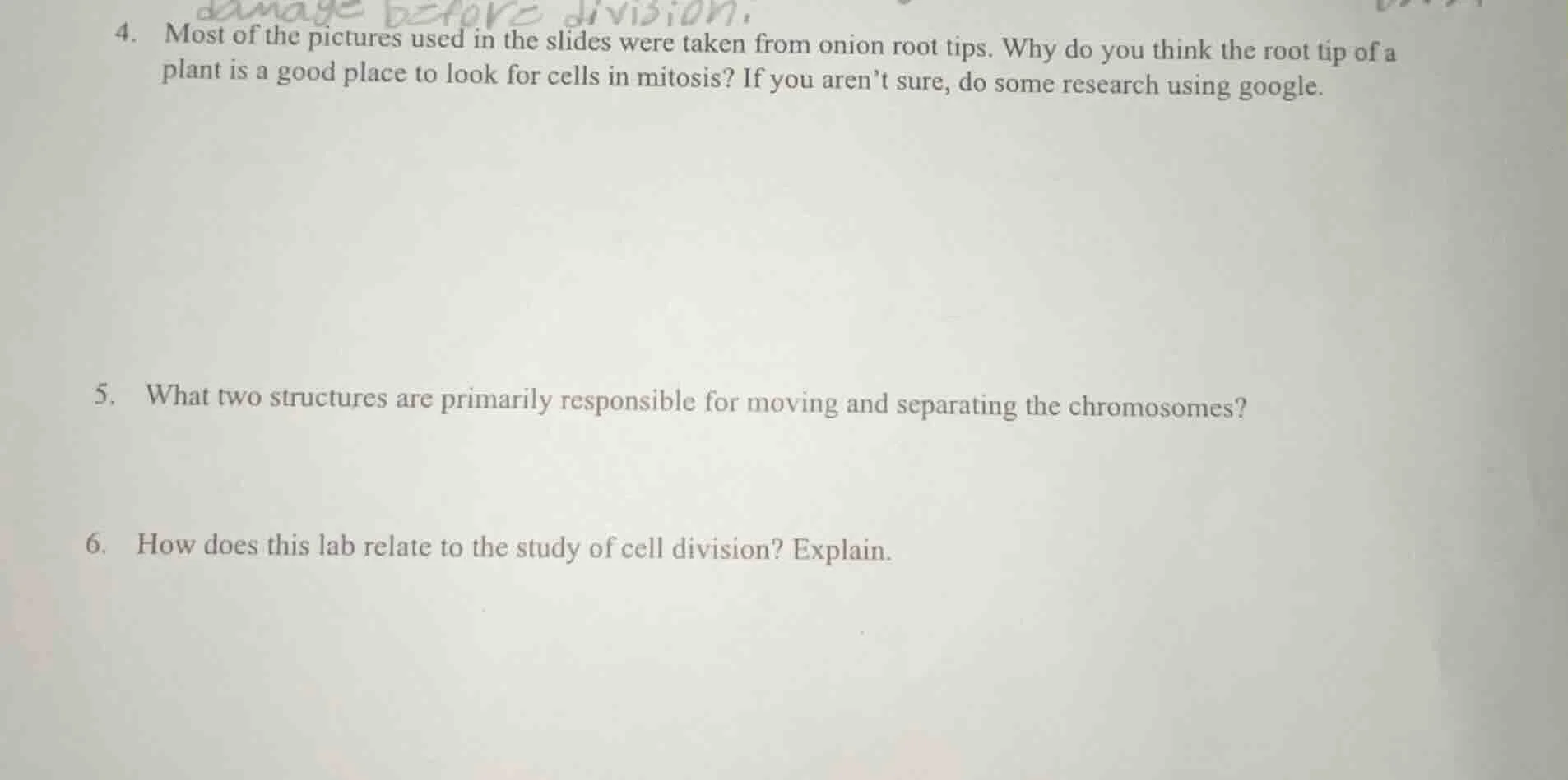 4. most of the pictures used in the slides were taken from onion root t…