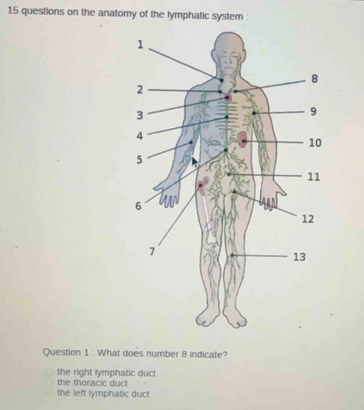 15 questions on the anatomy of the lymphatic system : question 1 : what…