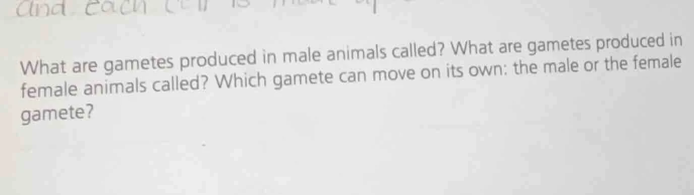 what are gametes produced in male animals called? what are gametes prod…