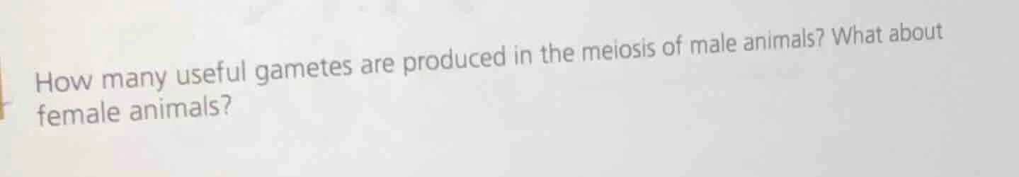 how many useful gametes are produced in the meiosis of male animals? wh…