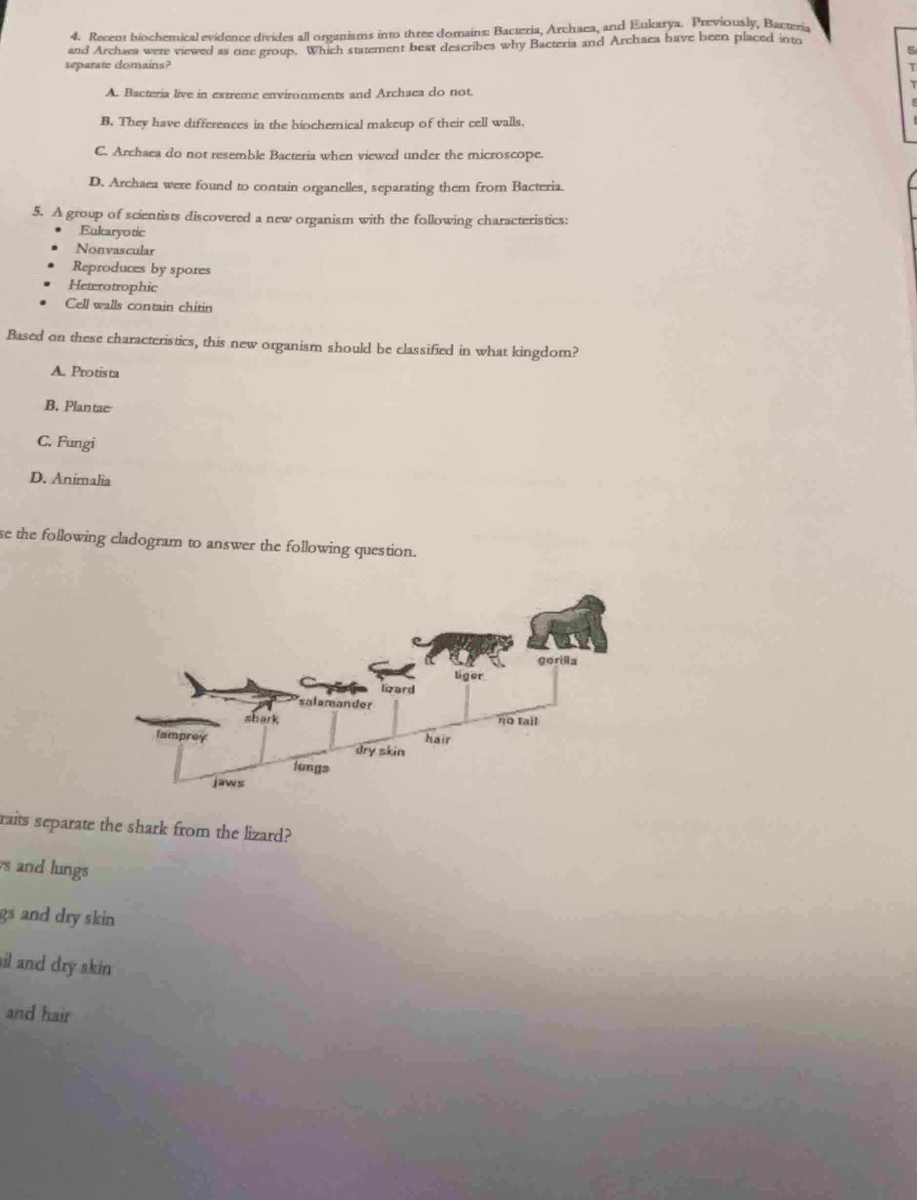 4. recent biochemical evidence divides all organisms into three domains…
