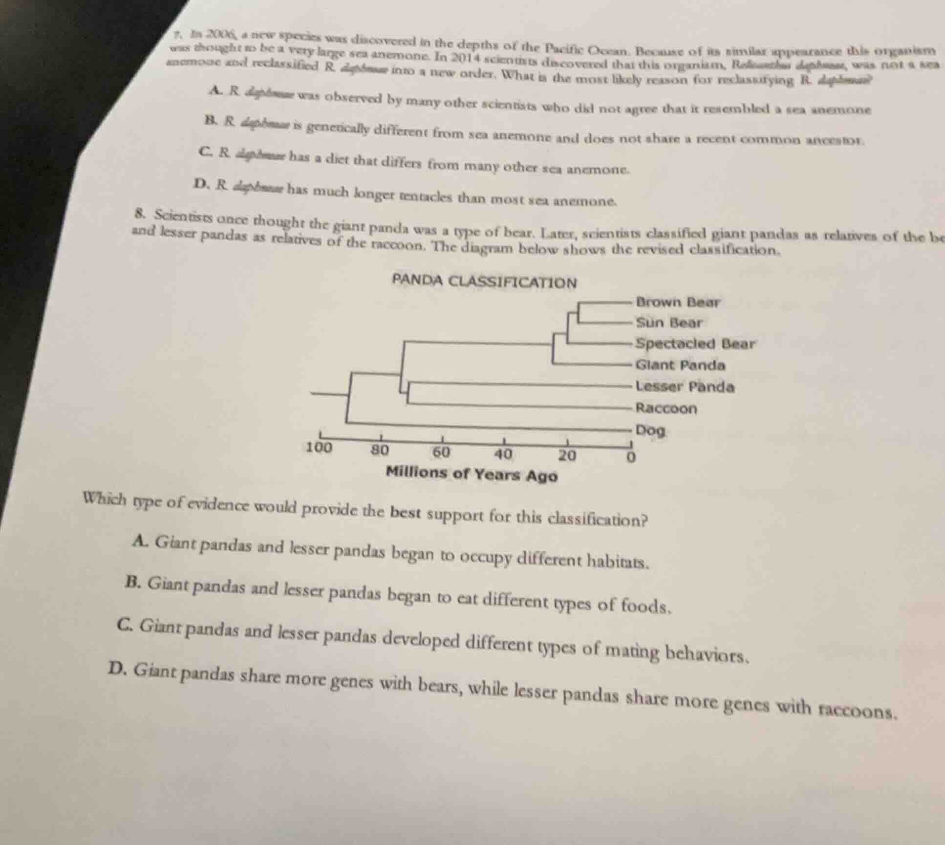 7. in 2006, a new species was discovered in the depths of the pacific o…