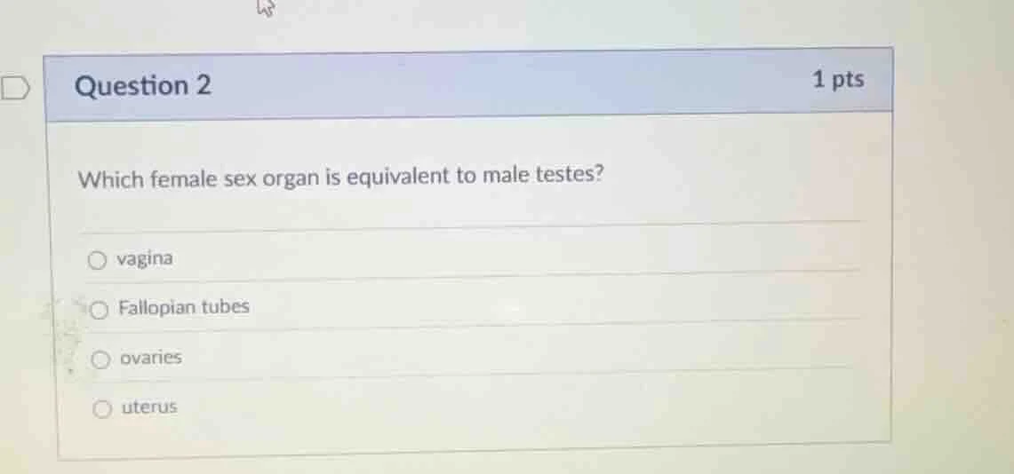 question 2 1 pts which female sex organ is equivalent to male testes? ○…