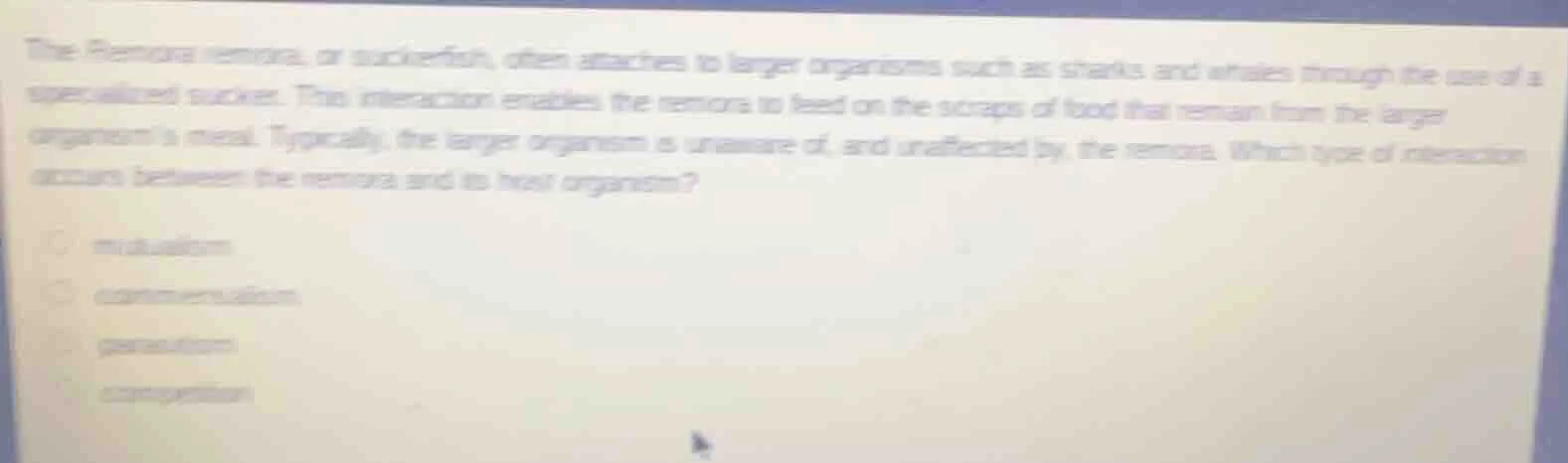 the remora remora, or suckerfish, often attaches to larger organisms su…