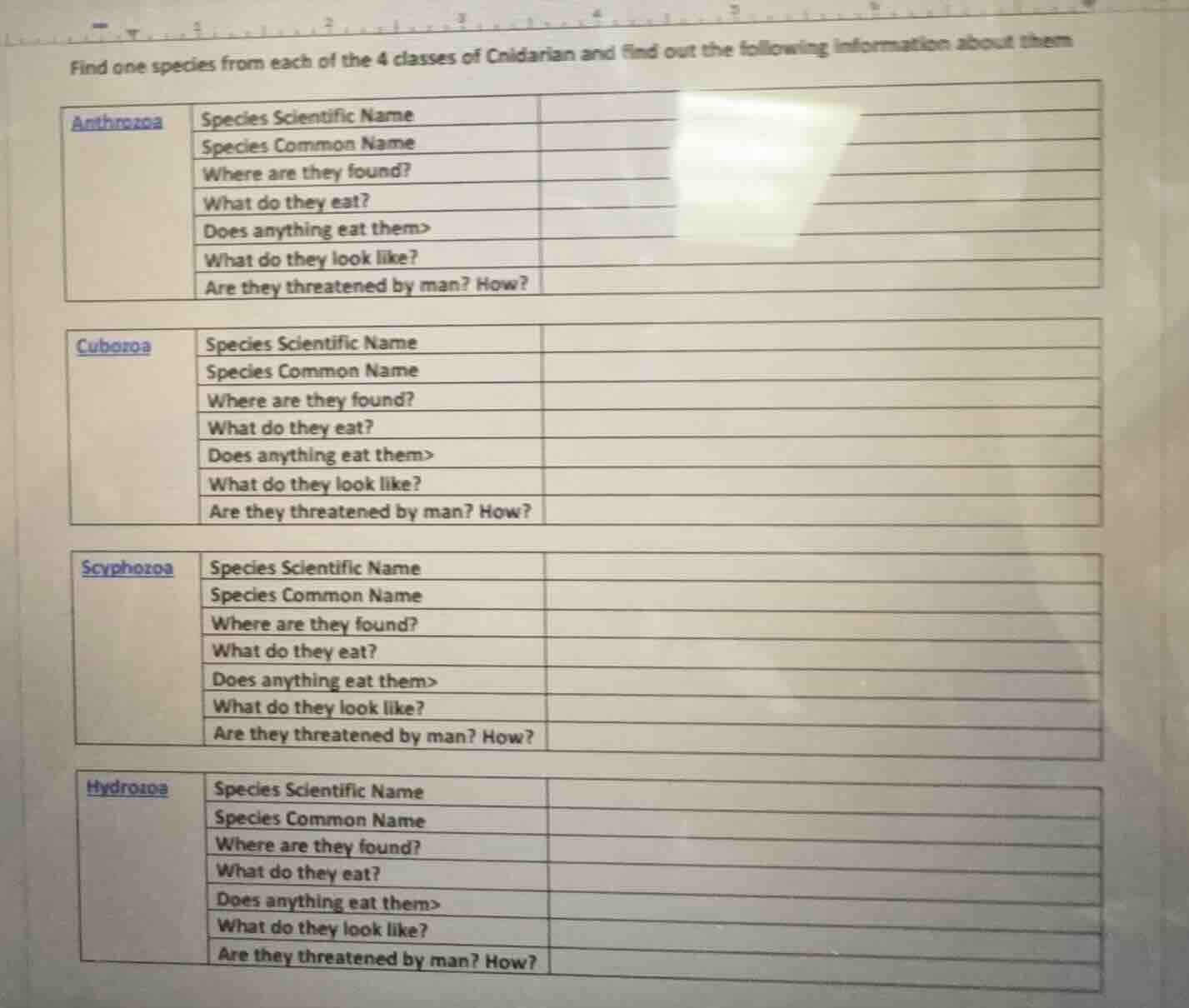 find one species from each of the 4 classes of cnidarian and find out t…