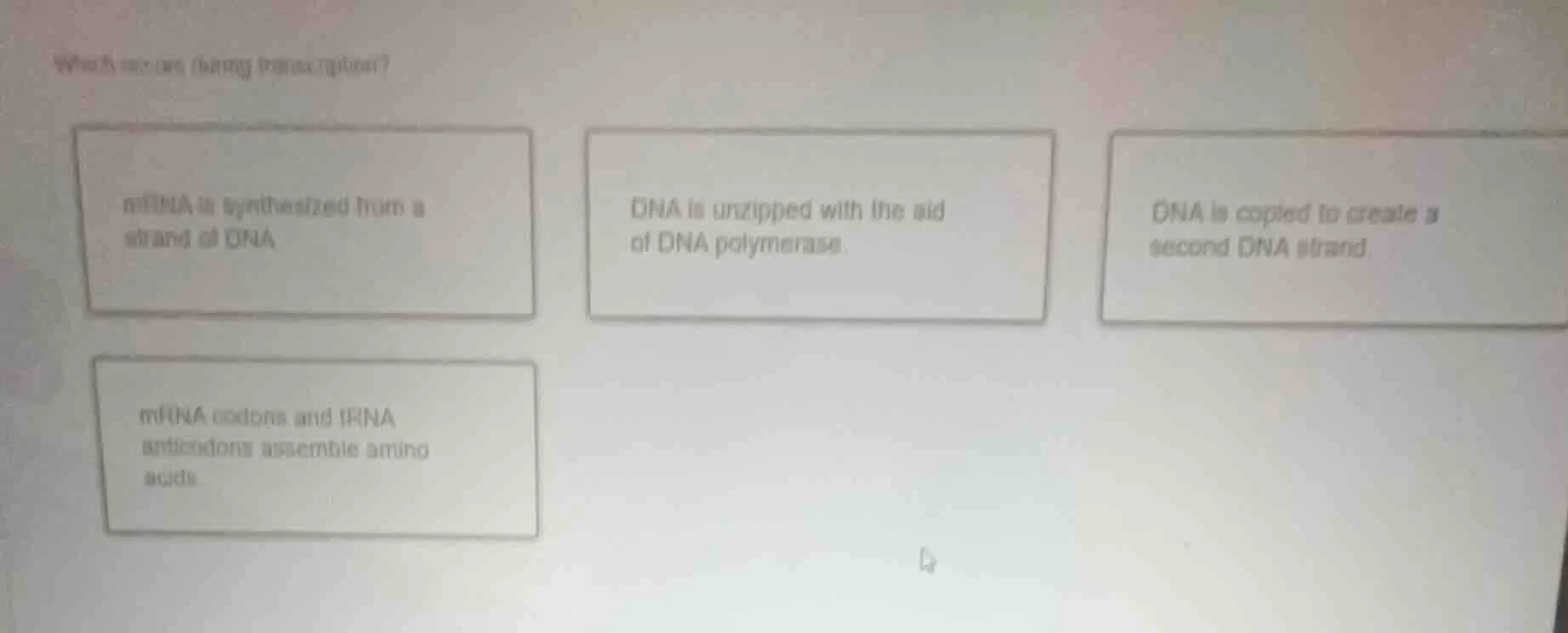 which occurs during transcription? mrna is synthesized from a strand of…