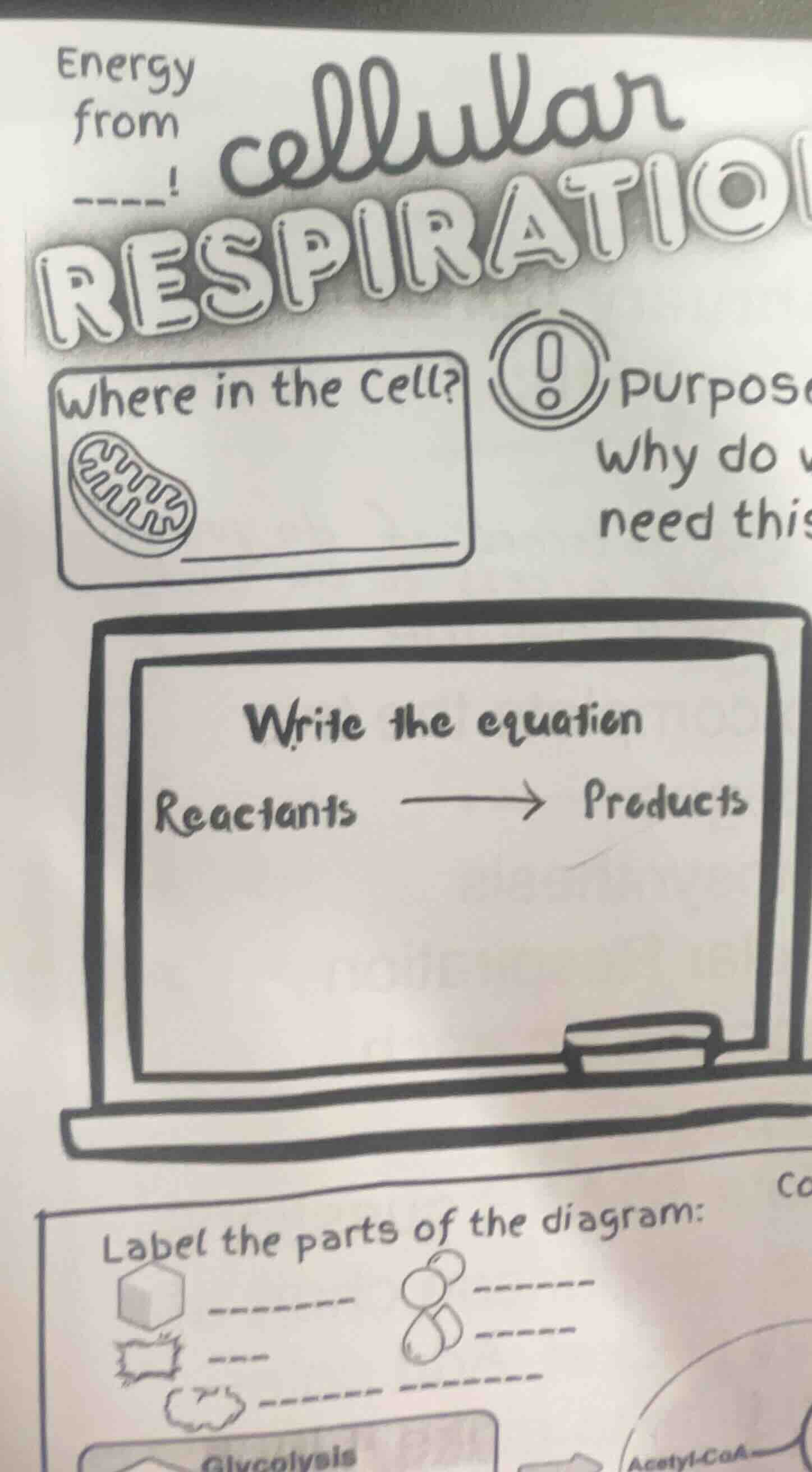 energy from ----! cellular respiratio where in the cell? purpose why do…