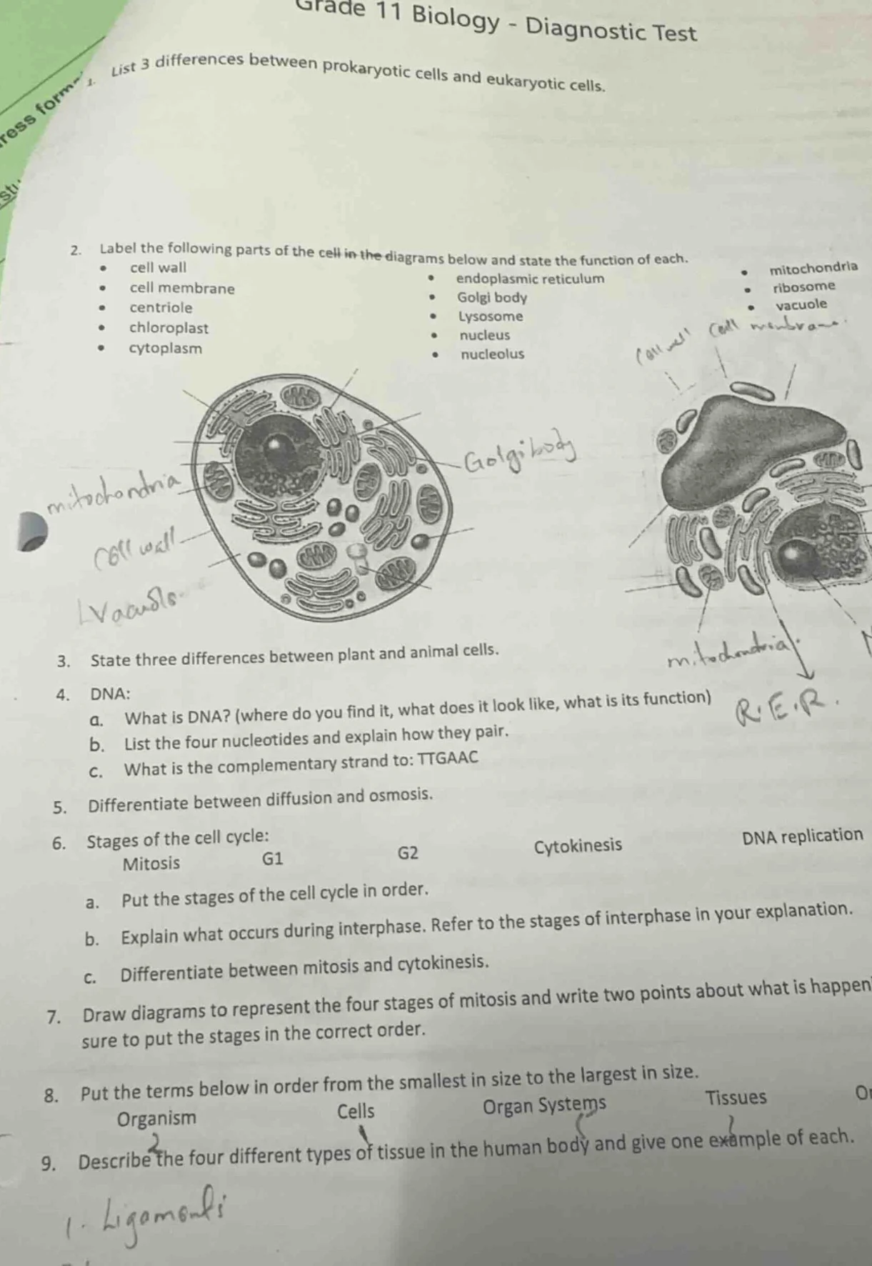 grade 11 biology - diagnostic test 1. list 3 differences between prokar…