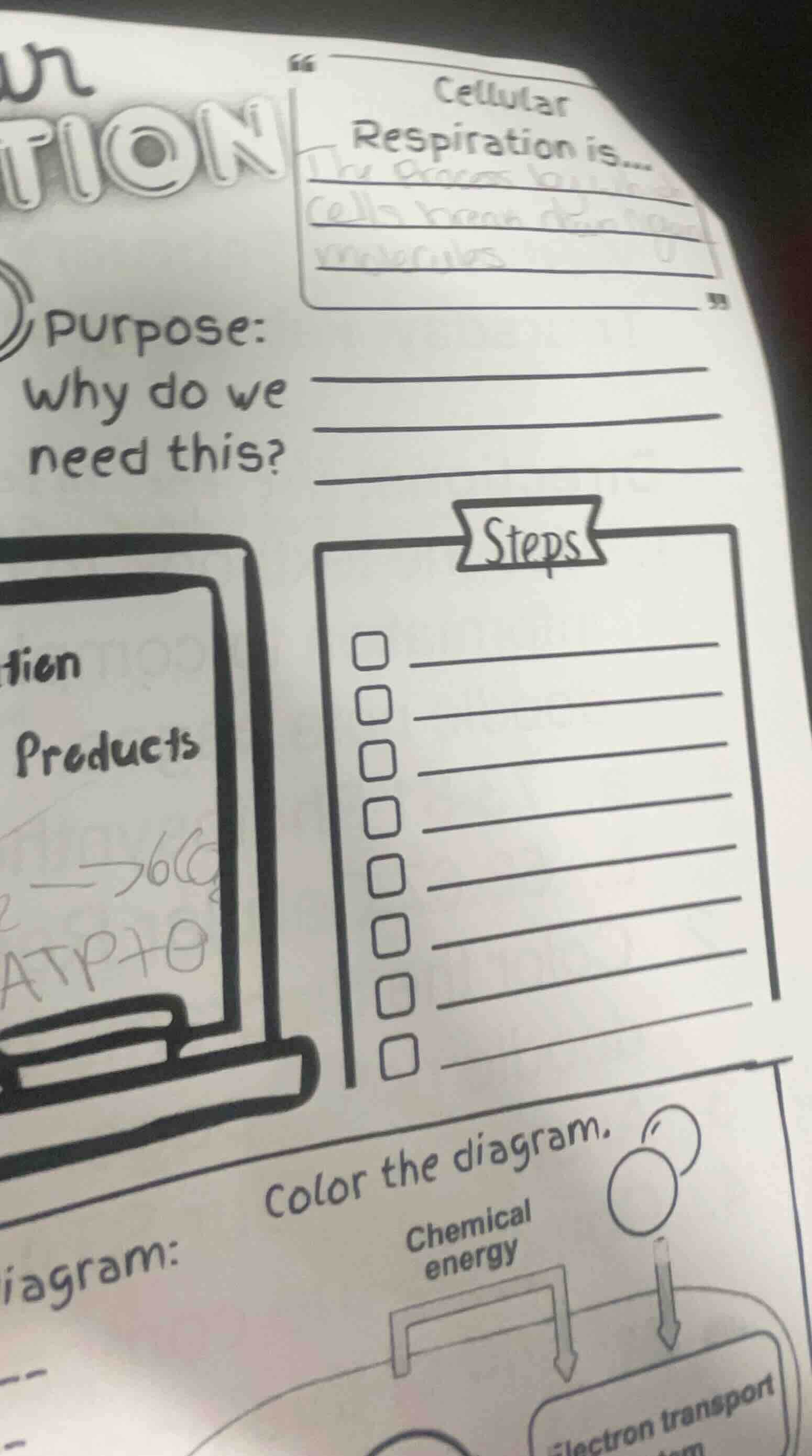 cellular respiration is... purpose: why do we need this? steps products…