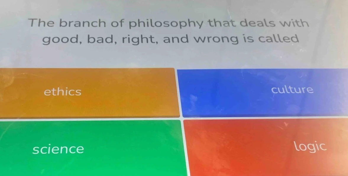 the branch of philosophy that deals with good, bad, right, and wrong is…