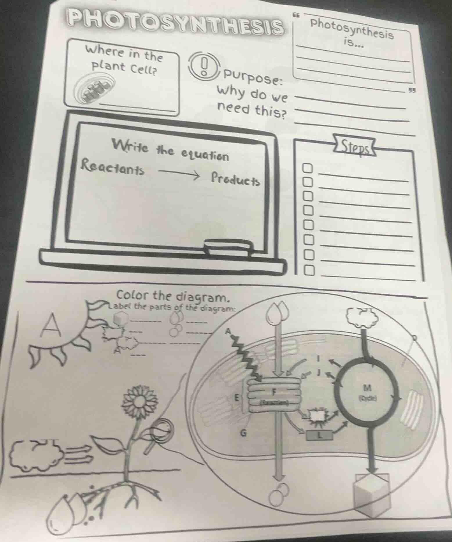 photosynthesis where in the plant cell? purpose: why do we need this? p…