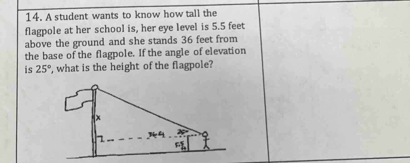 14. a student wants to know how tall the flagpole at her school is, her…