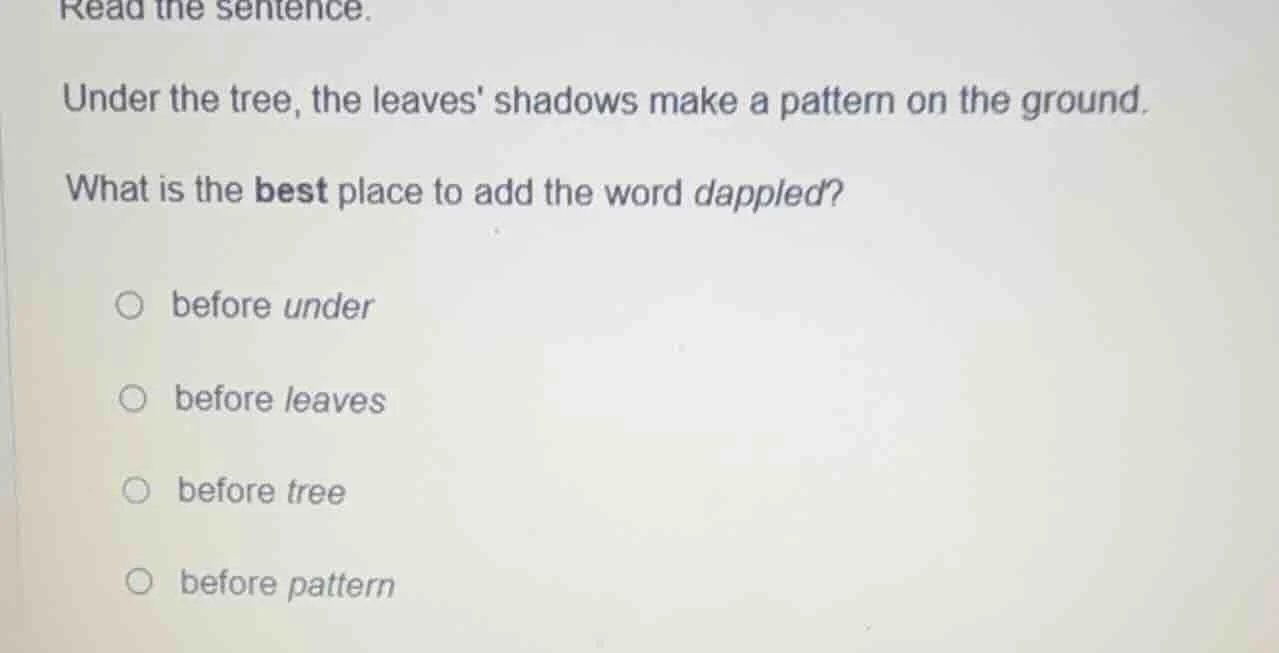 read the sentence. under the tree, the leaves shadows make a pattern on…