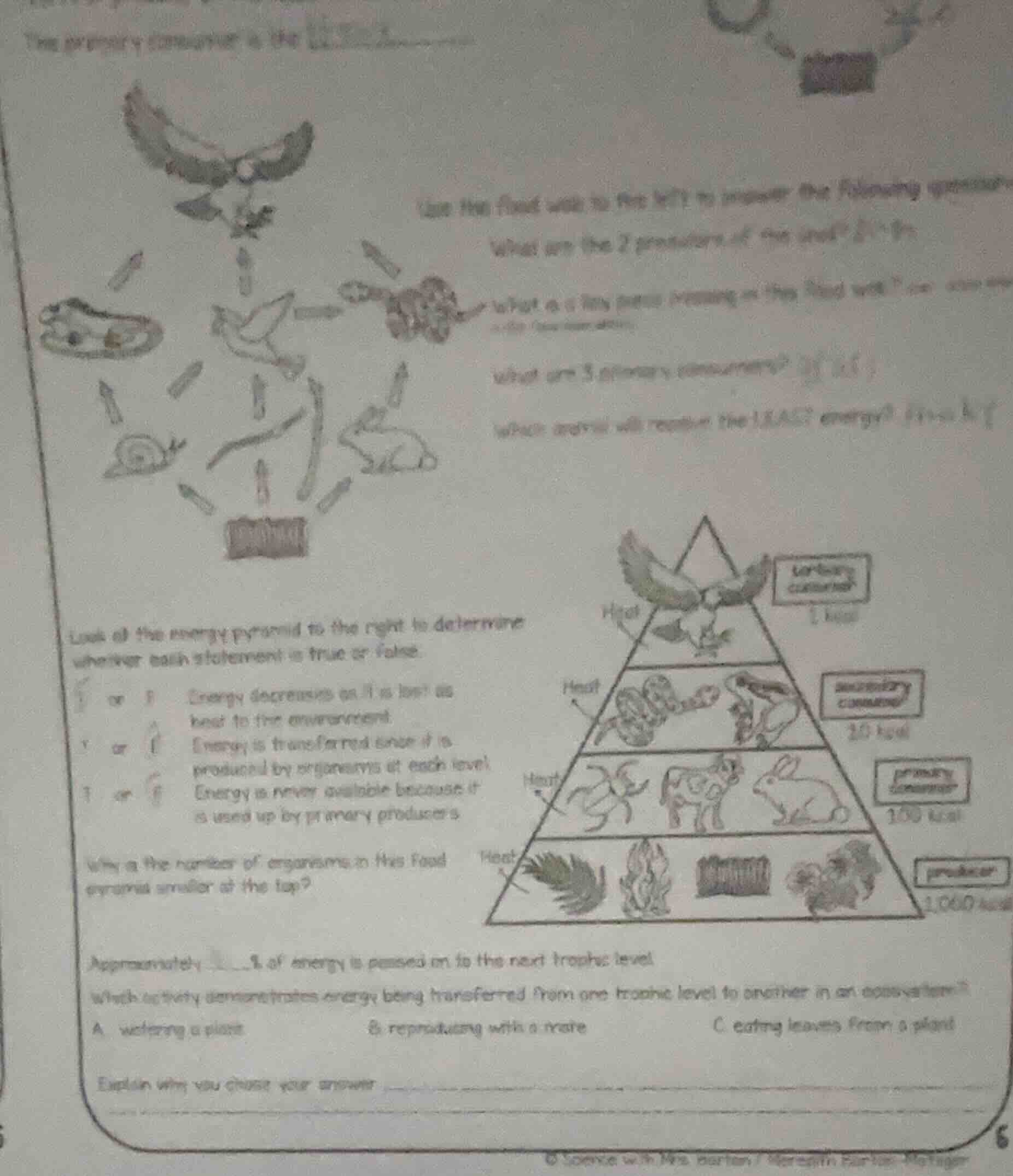 use the food web to the left to answer the following questions: what ar…