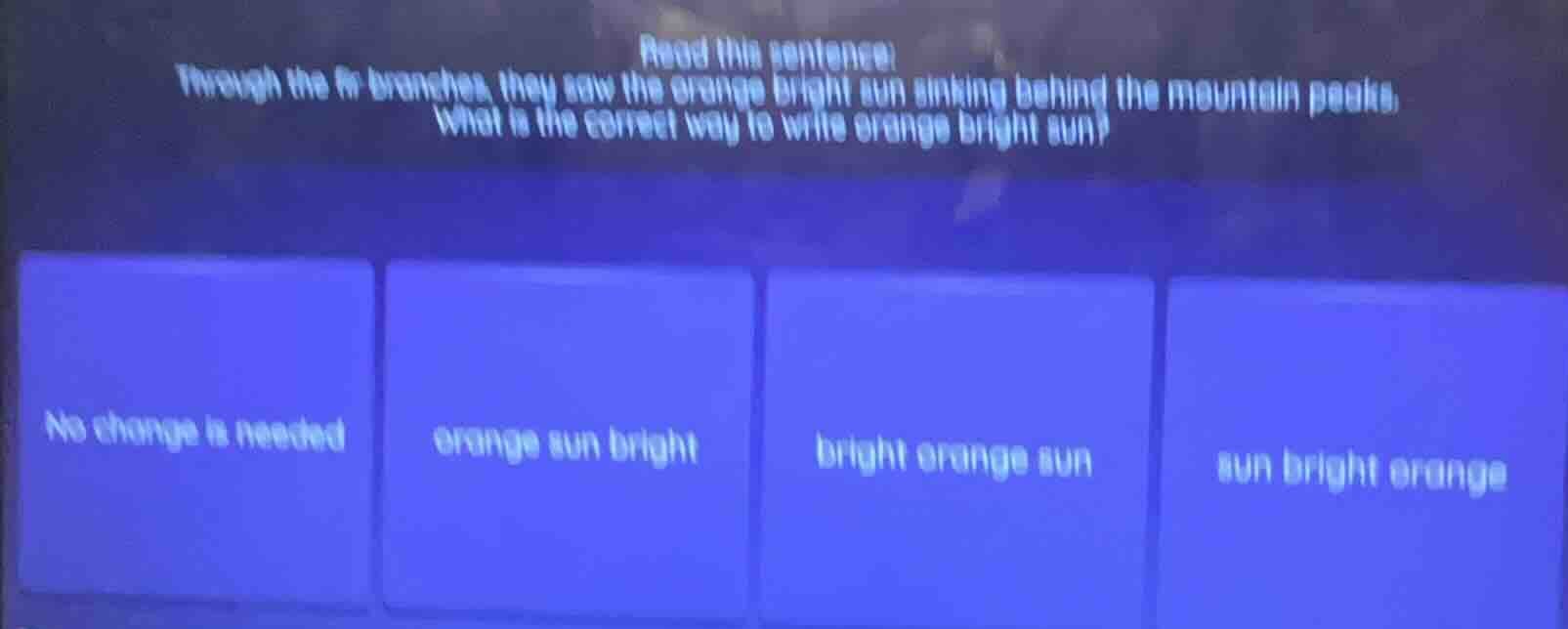 read this sentence: through the branches, they saw the orange bright su…