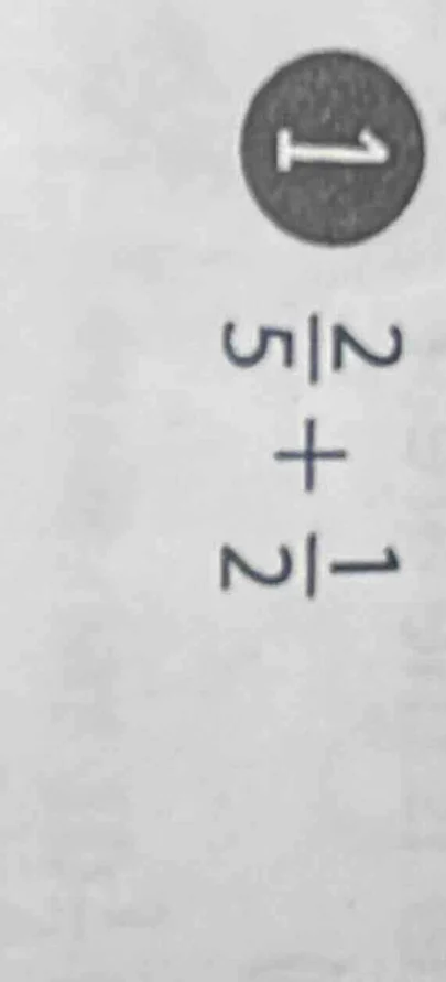 (\frac{2}{5} + \frac{1}{2})