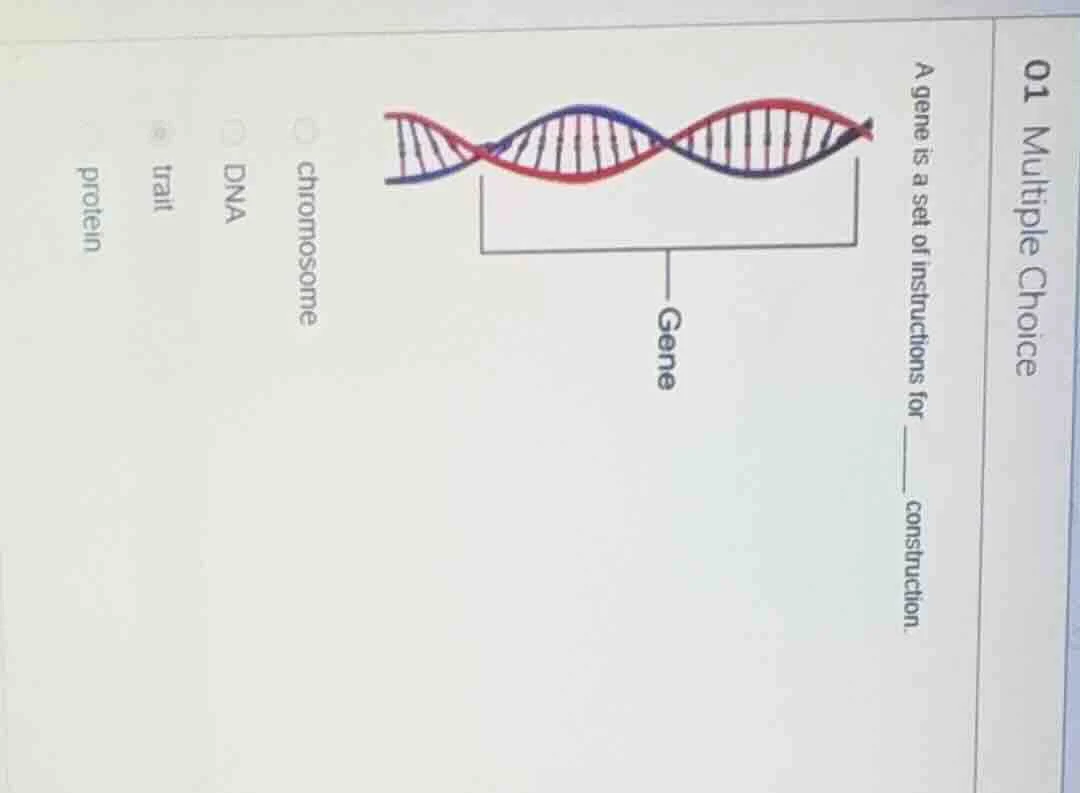 01 multiple choice a gene is a set of instructions for ______ construct…