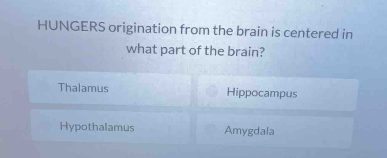 hungers origination from the brain is centered in what part of the brai…