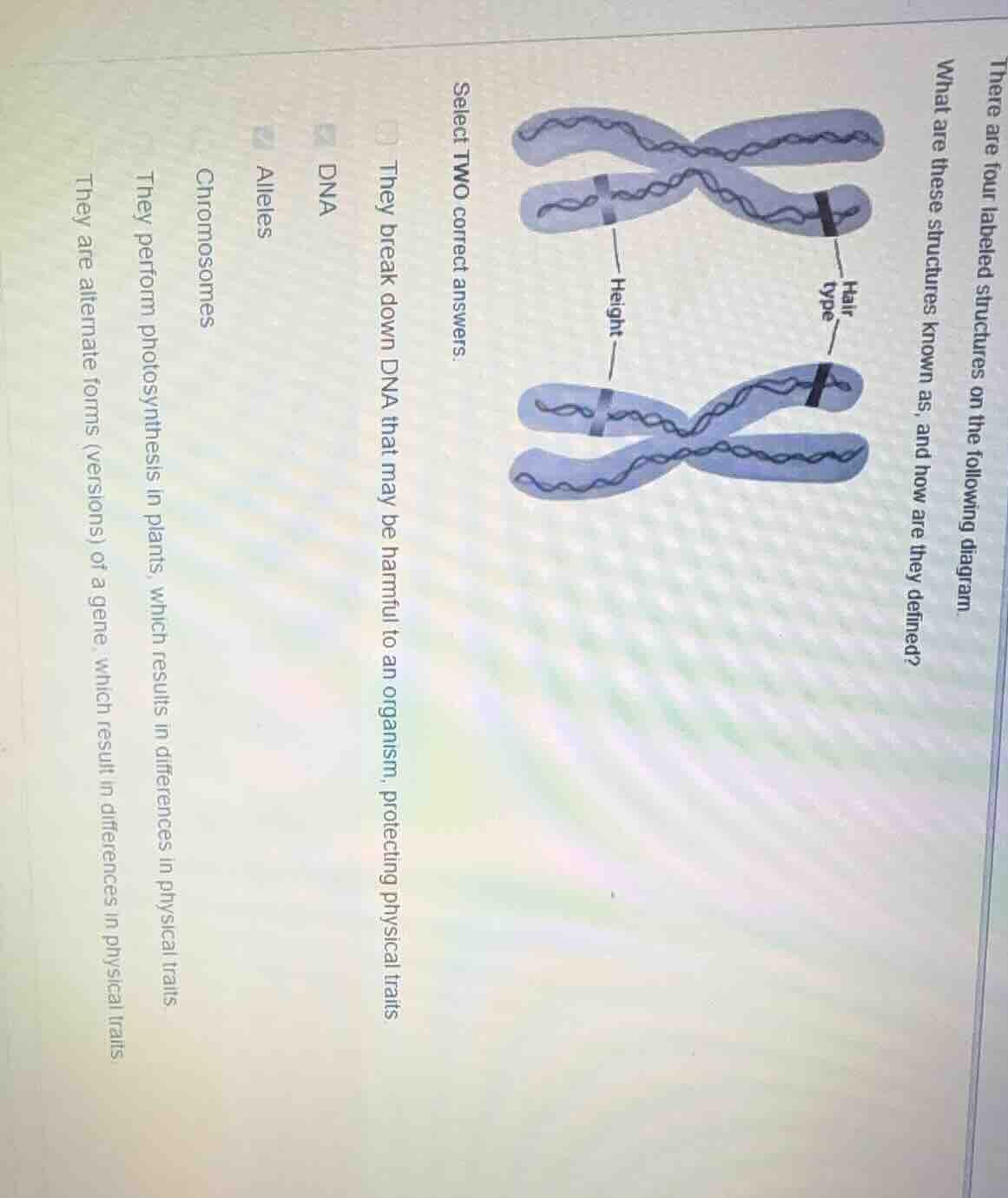 there are four labeled structures on the following diagram. what are th…