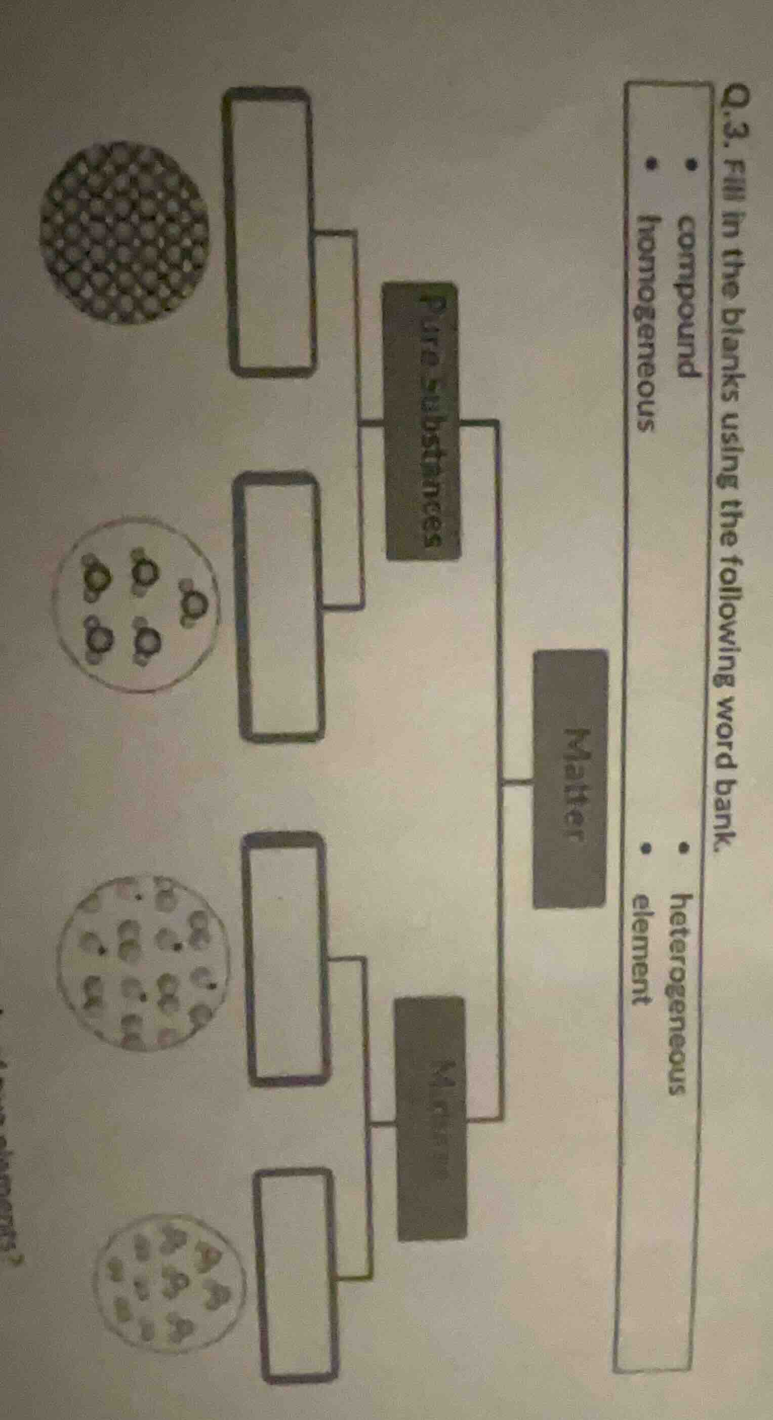 q.3. fill in the blanks using the following word bank. - compound - hom…