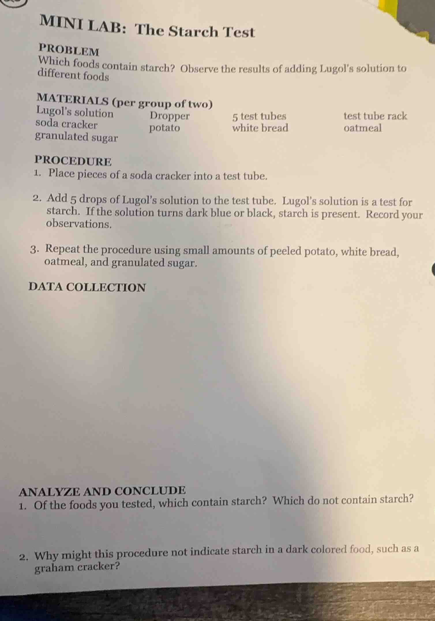 mini lab: the starch test problem which foods contain starch? observe t…