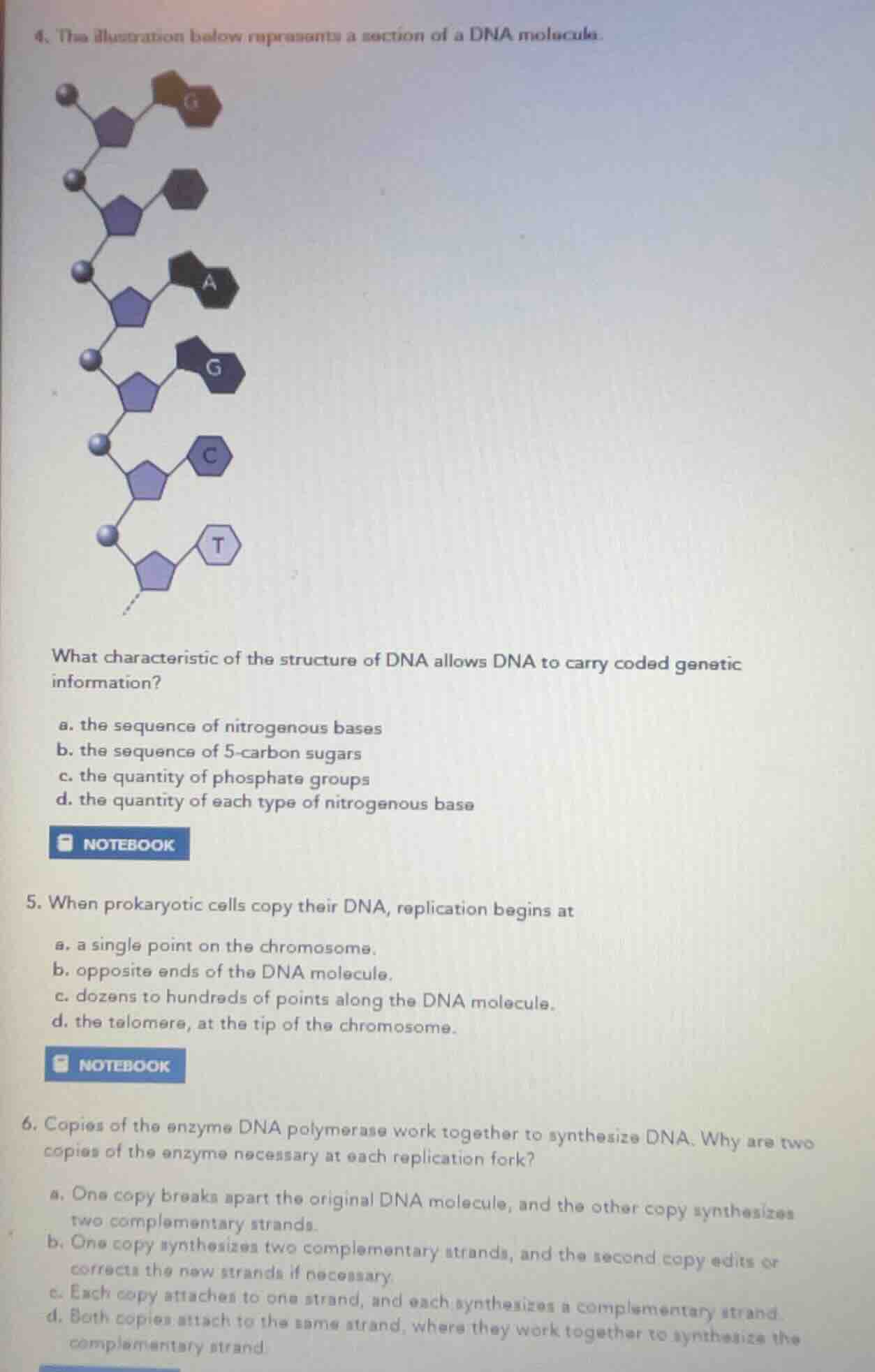 4. the illustration below represents a section of a dna molecule. what …