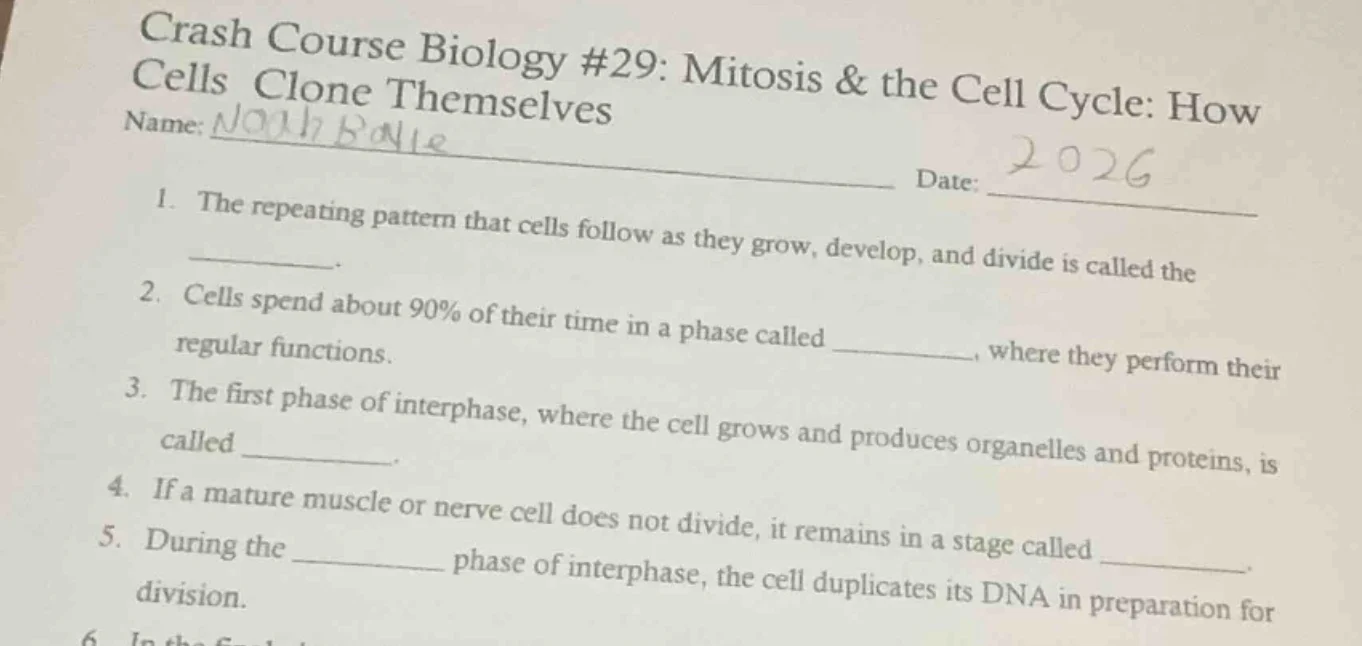 crash course biology #29: mitosis & the cell cycle: how cells clone the…