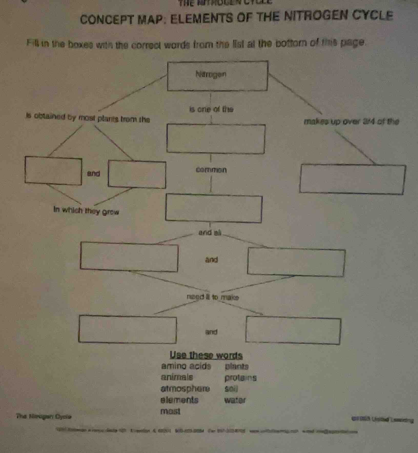 the nitrogen cycle concept map: elements of the nitrogen cycle fill in …