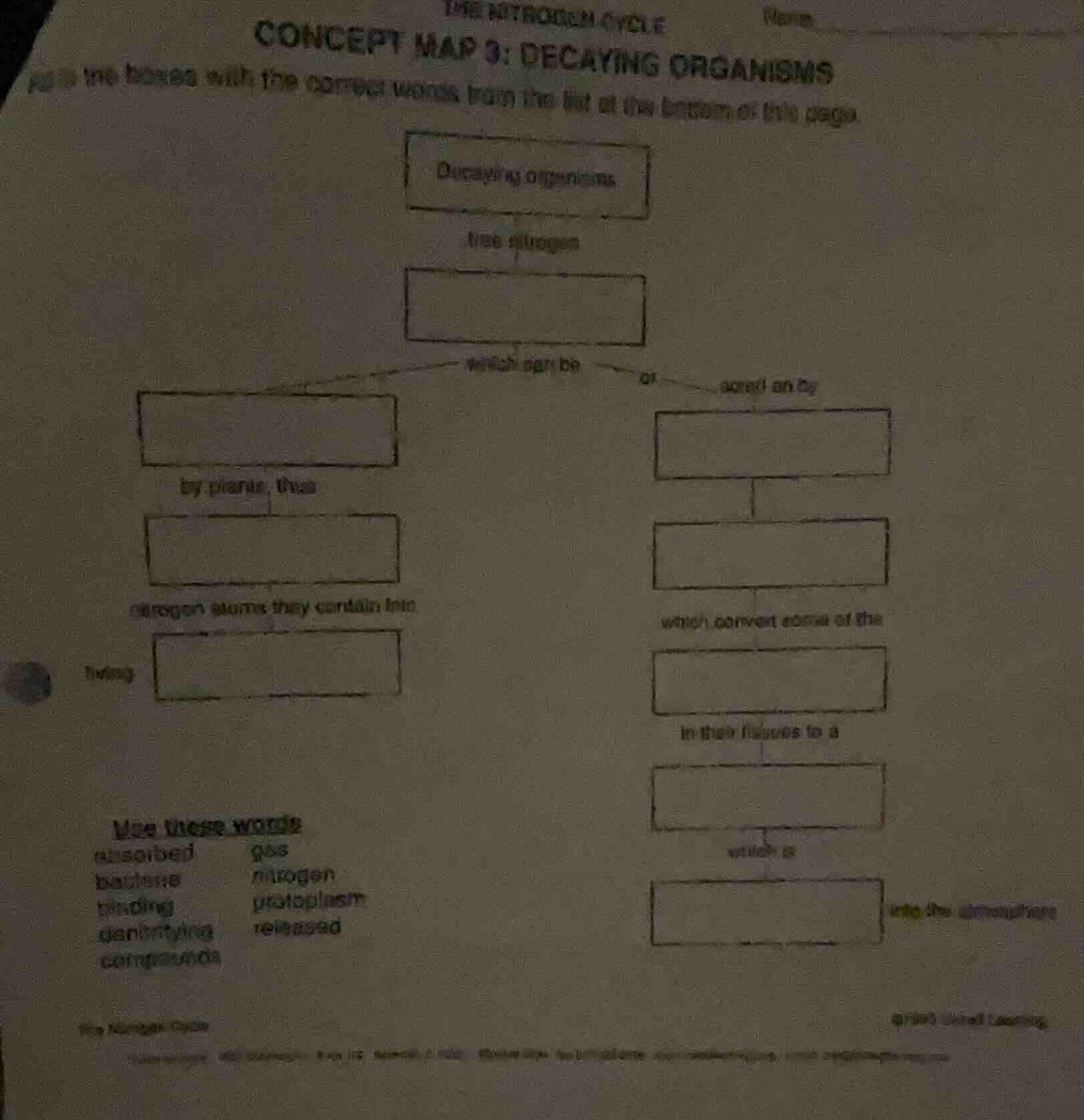 the nitrogen cycle concept map 3: decaying organisms fill in the boxes …